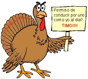 ¿Permiso conducir por un pavo al día?